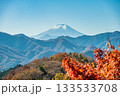 紅葉と富士山 133533708