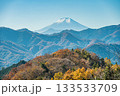 紅葉と富士山 133533709