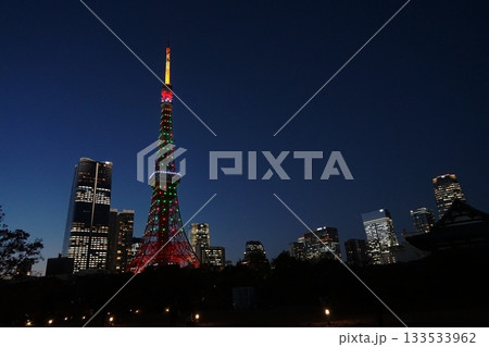 クリスマスツリー色の夜の東京タワーとビル群 11月港区2194クリスマスツリー色の東京タワー・芝公園 クリスマスツリー色の夜の東京タワーとビル群 11月港区2194クリスマスツリー色の東京タワー・芝公園 133533962