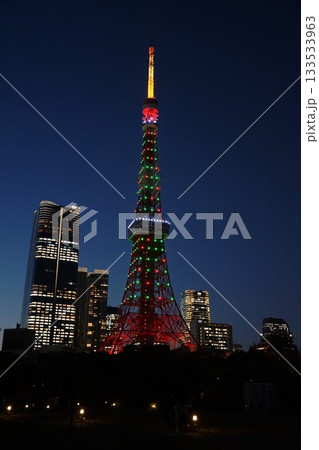 クリスマスツリー色の夜の東京タワーとビル群 11月港区2195クリスマスツリー色の東京タワー・芝公園 クリスマスツリー色の夜の東京タワーとビル群 11月港区2195クリスマスツリー色の東京タワー・芝公園 133533963