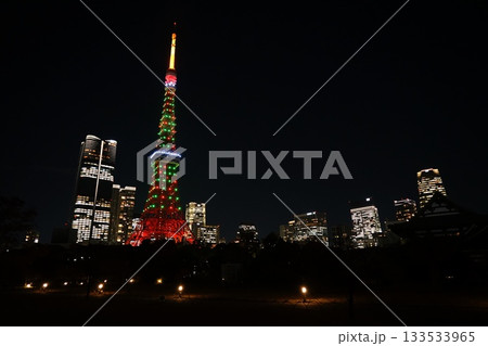クリスマスツリー色の夜の東京タワーとビル群　11月港区2197クリスマスツリー色の東京タワー・芝公園 133533965