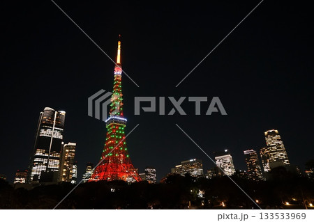 クリスマスツリー色の夜の東京タワーとビル群　11月港区2201クリスマスツリー色の東京タワー・芝公園 133533969