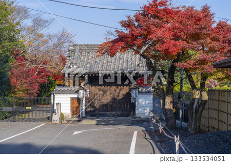 京都 青蓮院門跡 福徳門 紅葉の季節 京都 青蓮院門跡 福徳門 紅葉の季節 133534051