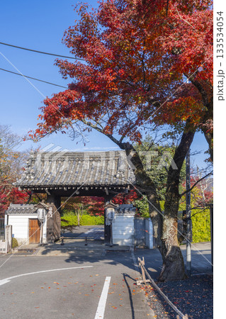 京都　青蓮院門跡　福徳門　紅葉の季節 133534054