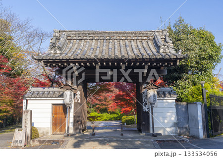 京都　青蓮院門跡　福徳門　紅葉の季節 133534056