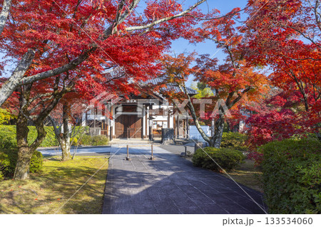 京都　将軍塚清流殿　大日堂　紅葉の季節 133534060