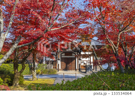 京都 将軍塚清流殿 大日堂 紅葉の季節 京都 将軍塚清流殿 大日堂 紅葉の季節 133534064