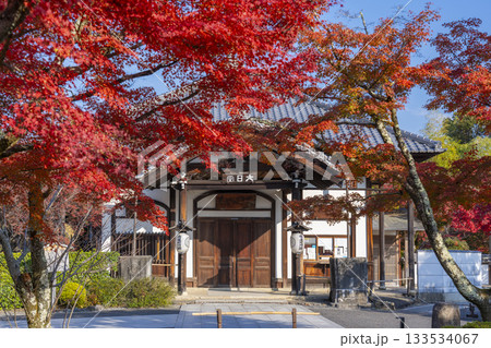 京都　将軍塚清流殿　大日堂　紅葉の季節 133534067