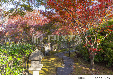 京都　将軍塚清流殿　日本庭園　紅葉の季節 133534075