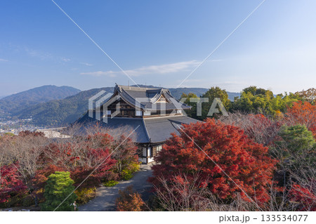 将軍塚青龍殿　西展望台からの景色　紅葉の季節 133534077