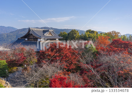将軍塚青龍殿 西展望台からの景色 紅葉の季節 将軍塚青龍殿 西展望台からの景色 紅葉の季節 133534078