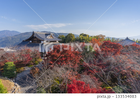 将軍塚青龍殿 西展望台からの景色 紅葉の季節 将軍塚青龍殿 西展望台からの景色 紅葉の季節 133534083