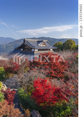 将軍塚青龍殿 西展望台からの景色 紅葉の季節 将軍塚青龍殿 西展望台からの景色 紅葉の季節 133534085