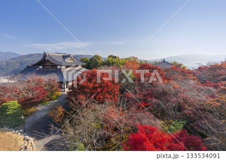 将軍塚青龍殿　西展望台からの景色　紅葉の季節 133534091