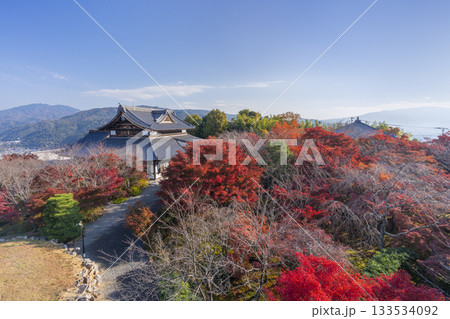 将軍塚青龍殿　西展望台からの景色　紅葉の季節 133534092