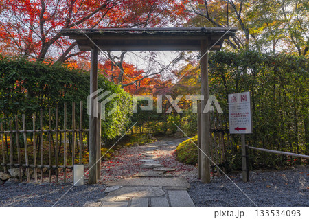 京都　将軍塚清流殿　日本庭園　紅葉の季節 133534093