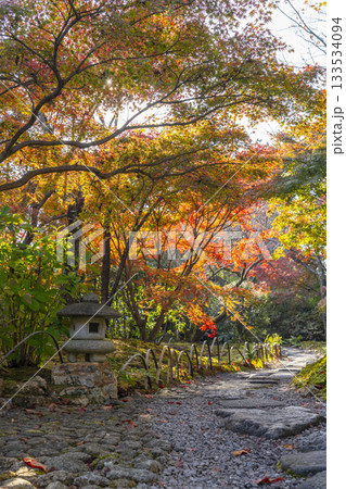 京都　将軍塚清流殿　日本庭園　紅葉の季節 133534094