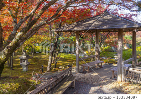 京都　将軍塚清流殿　日本庭園　紅葉の季節 133534097