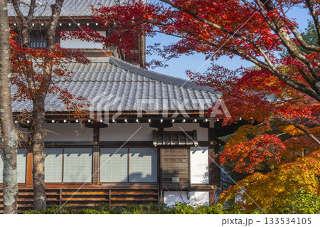 京都　将軍塚清流殿　清流殿　紅葉の季節 133534105