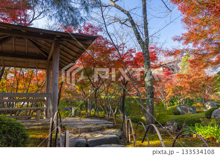 京都　将軍塚清流殿　日本庭園　紅葉の季節 133534108