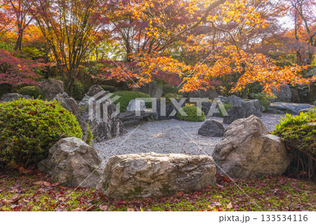京都　将軍塚清流殿　枯山水庭園　紅葉の季節 133534116