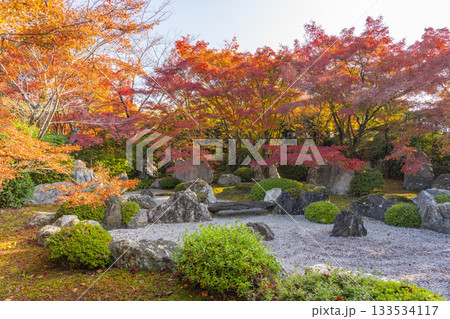 京都 将軍塚清流殿 枯山水庭園 紅葉の季節 京都 将軍塚清流殿 枯山水庭園 紅葉の季節 133534117