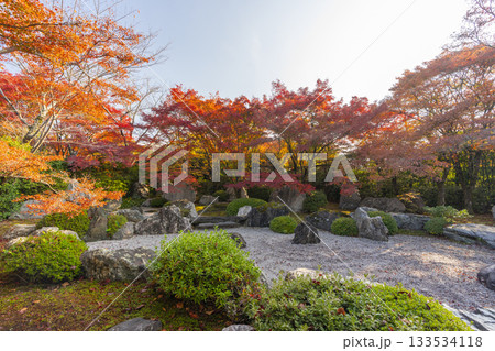 京都 将軍塚清流殿 枯山水庭園 紅葉の季節 京都 将軍塚清流殿 枯山水庭園 紅葉の季節 133534118