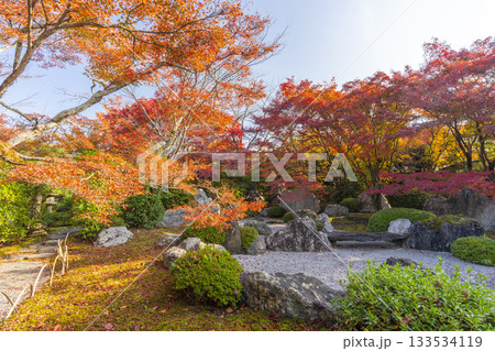 京都　将軍塚清流殿　枯山水庭園　紅葉の季節 133534119