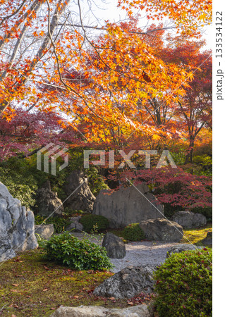 京都　将軍塚清流殿　枯山水庭園　紅葉の季節 133534122