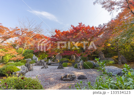 京都　将軍塚清流殿　枯山水庭園　紅葉の季節 133534123
