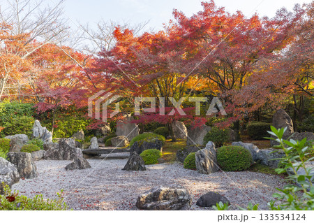 京都 将軍塚清流殿 枯山水庭園 紅葉の季節 京都 将軍塚清流殿 枯山水庭園 紅葉の季節 133534124