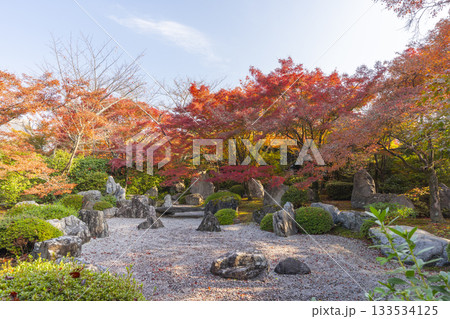 京都 将軍塚清流殿 枯山水庭園 紅葉の季節 京都 将軍塚清流殿 枯山水庭園 紅葉の季節 133534125