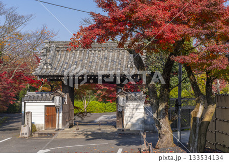 京都 青蓮院門跡 福徳門 紅葉の季節 京都 青蓮院門跡 福徳門 紅葉の季節 133534134