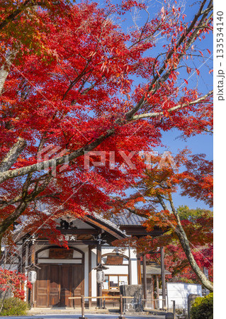 京都 将軍塚清流殿 大日堂 紅葉の季節 京都 将軍塚清流殿 大日堂 紅葉の季節 133534140