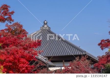 京都 将軍塚清流殿 大日堂 紅葉の季節 京都 将軍塚清流殿 大日堂 紅葉の季節 133534147