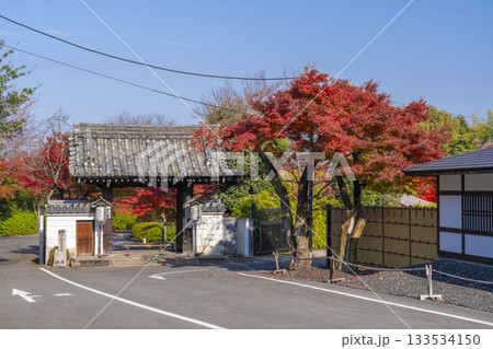 京都 青蓮院門跡 福徳門 紅葉の季節 京都 青蓮院門跡 福徳門 紅葉の季節 133534150