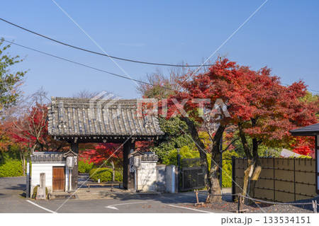 京都 青蓮院門跡 福徳門 紅葉の季節 京都 青蓮院門跡 福徳門 紅葉の季節 133534151