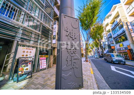 日本の東京都市景観 情緒漂う街。情緒あふれるお昼前の神楽坂などを望む 133534509