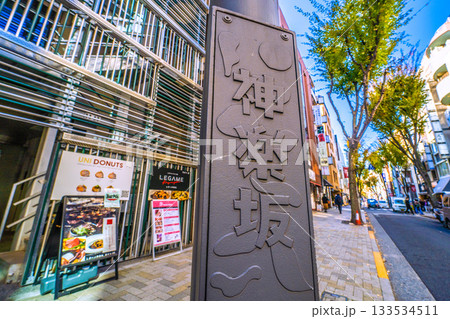 日本の東京都市景観 情緒漂う街。情緒あふれるお昼前の神楽坂などを望む 133534511