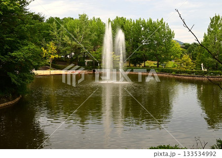 花巻広域公園 ぎんがのもり 133534992