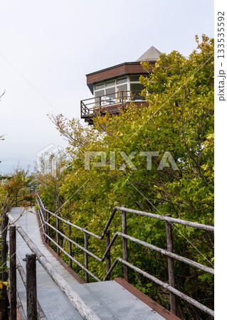 北海道　雄冬岬　展望台　海　草木　崖 133535592