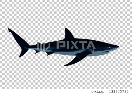 A sleek, dark shark gliding through water, showcasing its streamlined body and powerful fins. 133535725