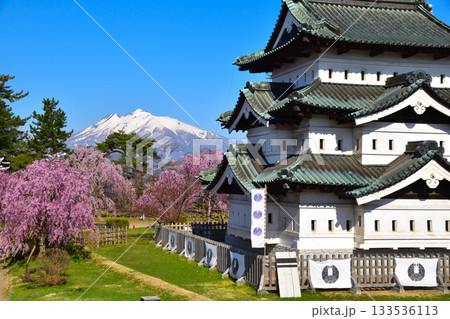 桜景　弘前城　岩木山 133536113
