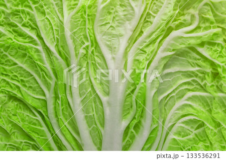 Chinese cabbage vegetable Chinese cabbage vegetable 133536291