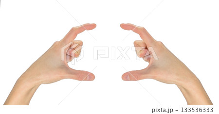 Gesture hands hold two fingers 133536333