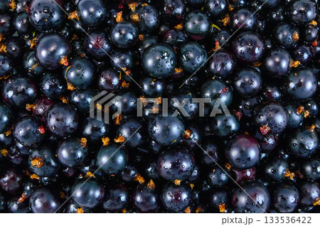 Ripe juicy currant 133536422