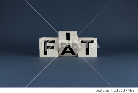 Cubes form words Fat or Fit. Concept of choice, to be fat or slim and healthy Cubes form words Fat or Fit. Concept of choice, to be fat or slim and healthy 133537468