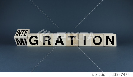 Cubes form words Integration or migration. Concept of business and social problems Cubes form words Integration or migration. Concept of business and social problems 133537479
