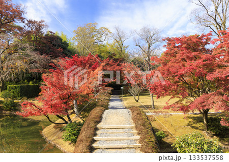 秋の紅葉に映える日本庭園 (京都 桂離宮) 秋の紅葉に映える日本庭園 (京都 桂離宮) 133537558