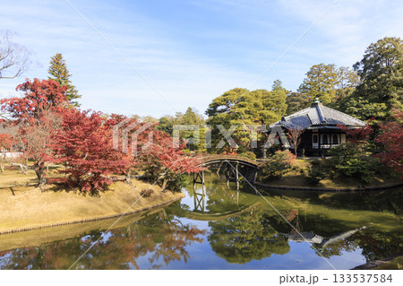 秋の紅葉に映える日本庭園 (京都 桂離宮) 133537584